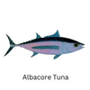 DECAL - Rod decals